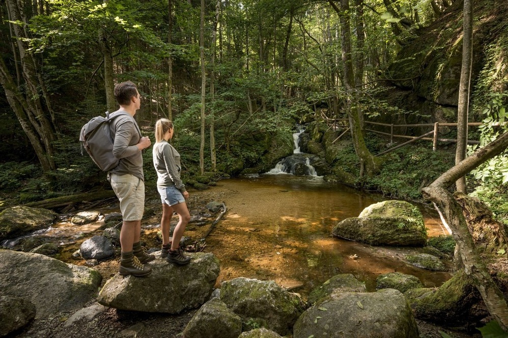 (c) Waldviertel Tourismus, Studio Kerschbaum