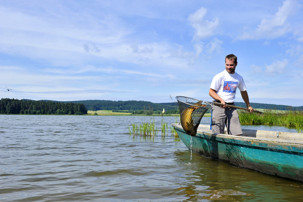 Waldviertel Tourismus, Robert Herbst